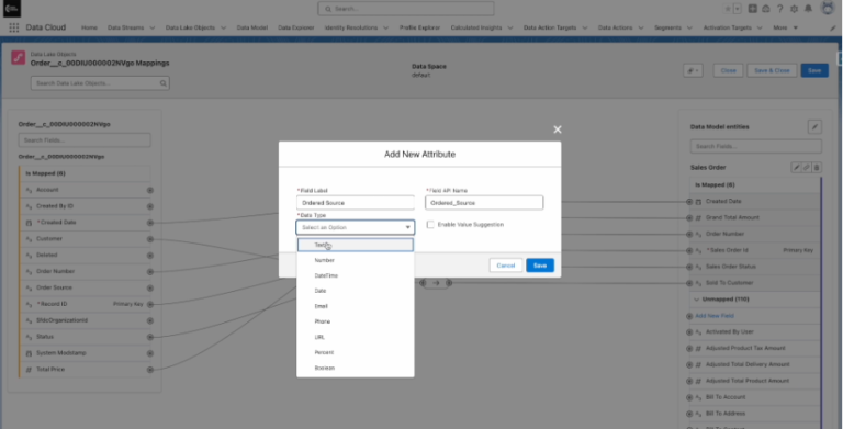 Salesforce Data Cloud: Data Mapping & Best Practices Blog, Data Cloud